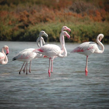 Alojamiento Rural Coto De La Isleta El Puerto de Santa María Esterno foto