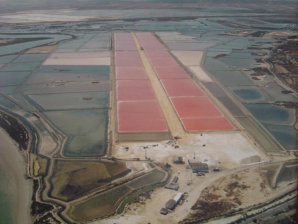 Alojamiento Rural Coto De La Isleta El Puerto de Santa María Esterno foto
