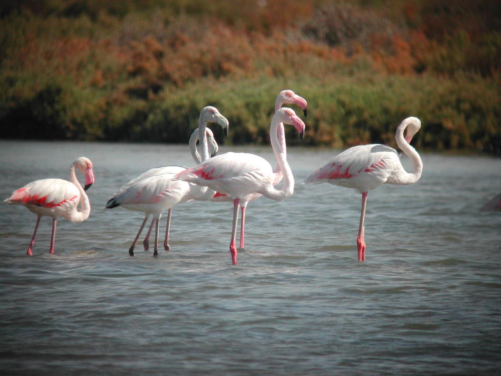 Alojamiento Rural Coto De La Isleta El Puerto de Santa María Esterno foto